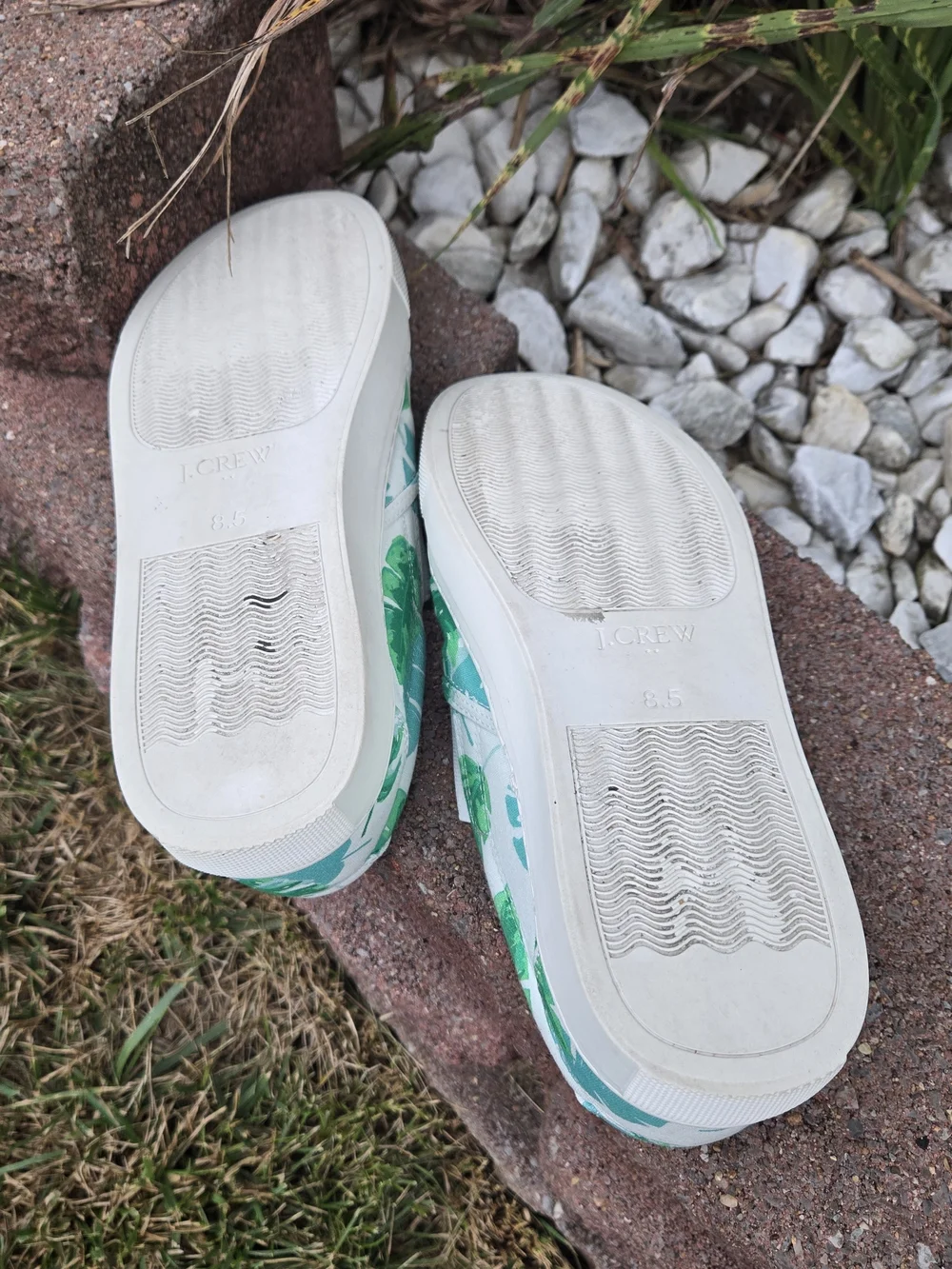 J.Crew Women's Slip-On Canvas Sneakers Tropical Palm Leaf Print Size 8.5